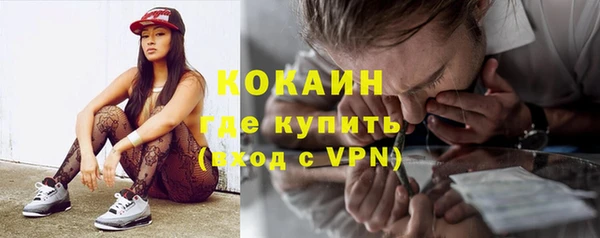 кокс Алексин