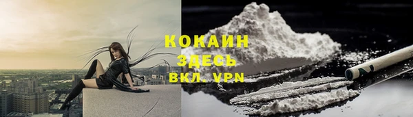 соль ск Алзамай