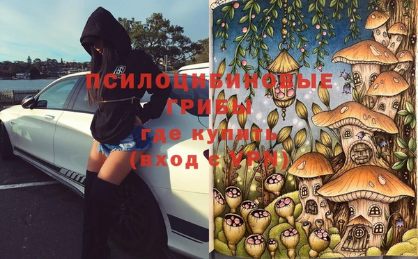 соль ск Алзамай
