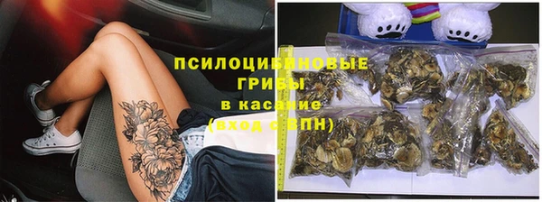 соль ск Алзамай