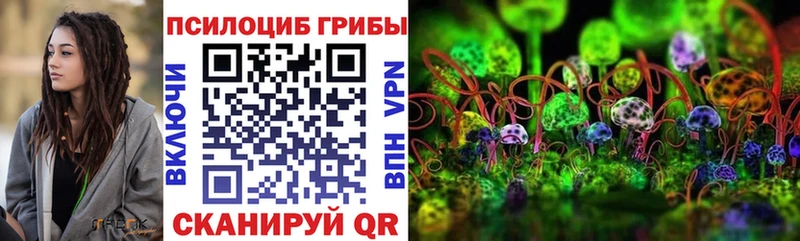 Псилоцибиновые грибы мухоморы  купить   Нюрба 